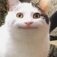 みやちん推しの変わり果てた姿