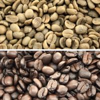 ☕️コーヒー焙煎の集い