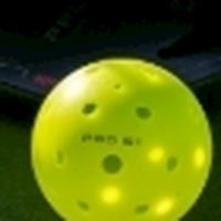新北大都會公園匹克球場Pickleball
