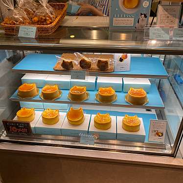 パステル ねこねこチーズケーキ エキア志木店 Pastell Neko Neko Cheesecake 東北 志木駅 ケーキ By Line Conomi