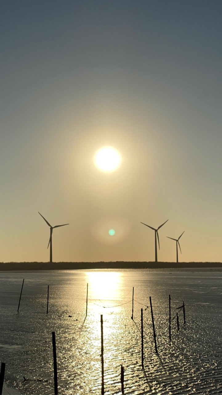 賞幣》走路15分鐘也能賺錢