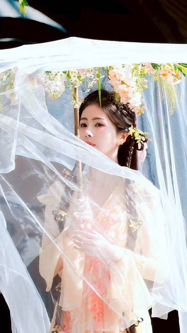 鹿茸、丞星、可露麗、小石榴、曲奇