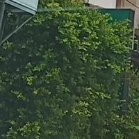 คลินิกหมอวิโรจน์  พิษณุโลก
