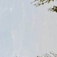 115.05太保花鳥班