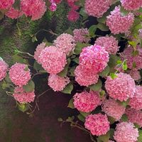 ดอกไม้ปลอมนำเข้า