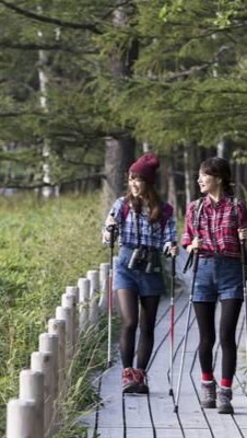 静岡県、ガチ登山とまでは言わずにハイキングしましょう‼️