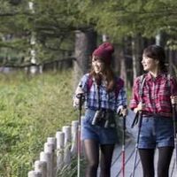 静岡県、ガチ登山とまでは言わずにハイキングしましょう‼️