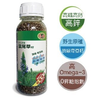 瑪雅 原生原種 鼠尾草籽 (430g)