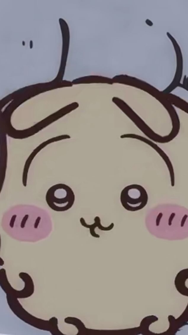 小白︎︎⟡.·吉伊卡哇官網代購/名創代購