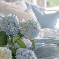 🌈ᵕ̈*にこにこroom【40代50代】同世代で雑談＆ライブトーク