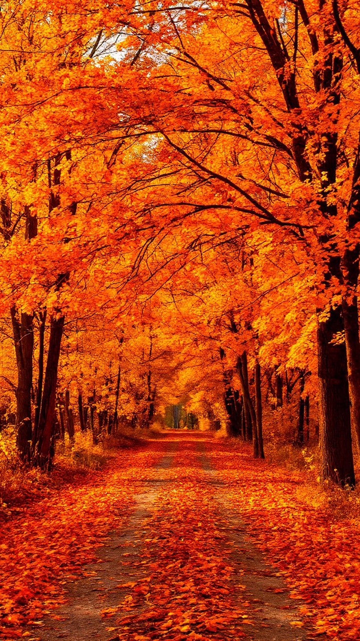 สงบคนดี