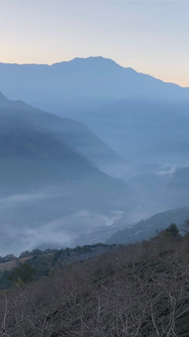 禾亞caddy團隊服務-旅遊包車、機場接送