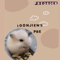 Igonjiew_preorder