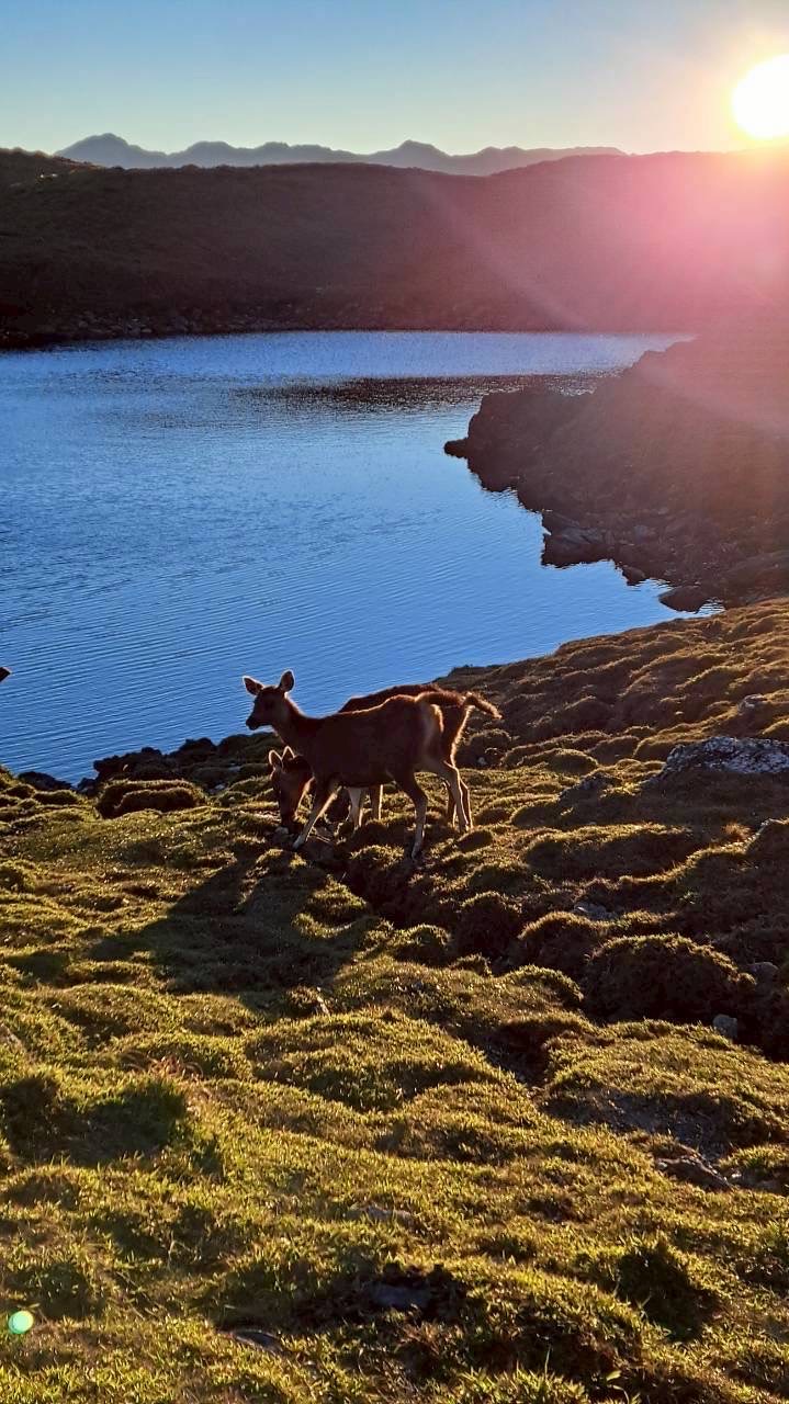 百岳⛰️登山戶外野營美景分享