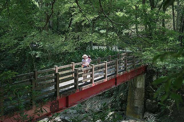 出遊不想人擠人！６大療癒「森林祕境」：打卡７層樓高空中走廊、祕境小木屋