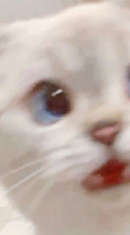 คุยเล่นๆ👀😫//คนเหงา