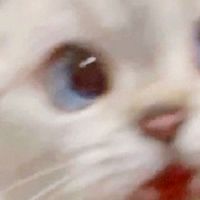 คุยเล่นๆ👀😫//คนเหงา