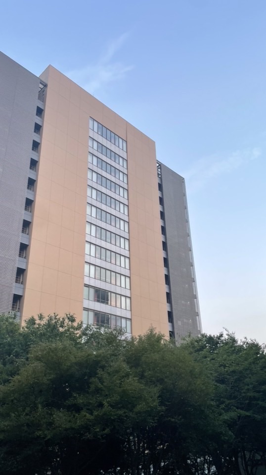 明星大学　卒業研究指定科目　科目終了試験過去問