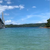 潜り潜るやっぱり素潜り🐟