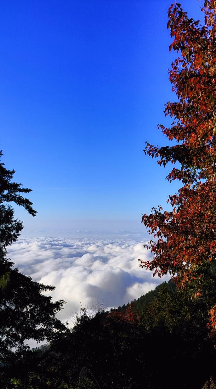 889大雪山美景分享