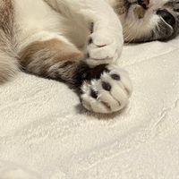 梅光園1丁目掲示板（話題情報募集中❗️）🐈🐕🦜〜♫