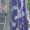 サンフレッチェ広島管理、副管理人アカウント