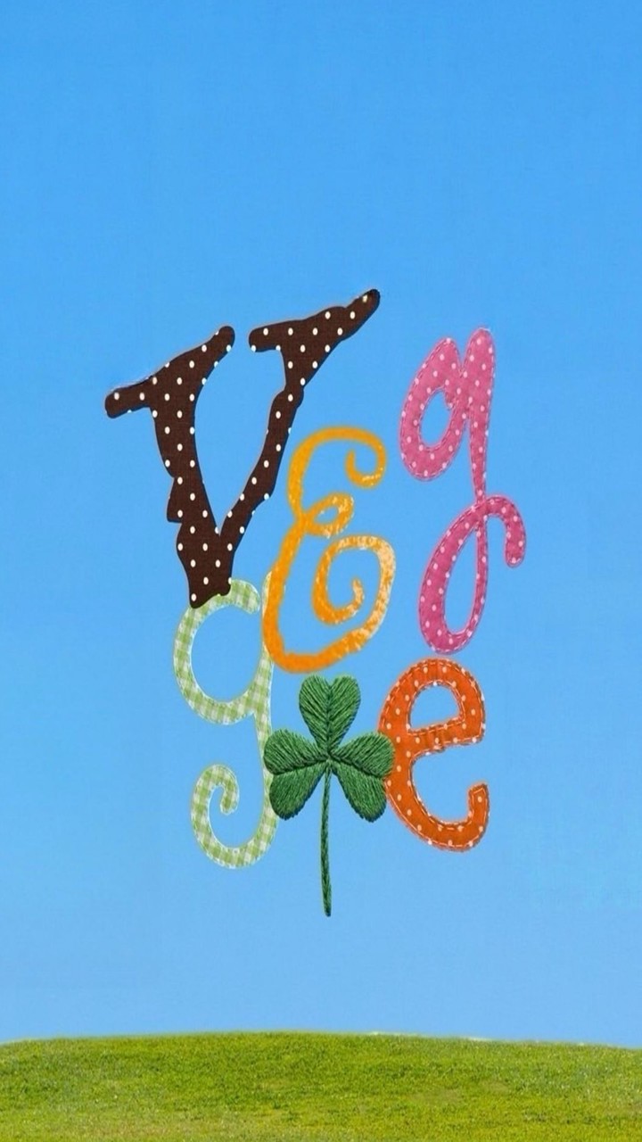 veggies เช่ากล่องดิจิตอลนครปฐม