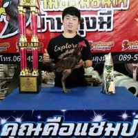 ครูกิ่ง พิมพิไลฟาร์ม