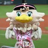啾啾啾🦅🦅🦅