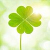 40歳からの🍀あつまれ憩いの広場🍀光✨