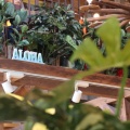 実際訪問したユーザーが直接撮影して投稿した保木間カフェコナズ珈琲 足立店の写真