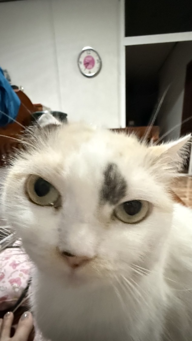 ค่อยตั้ง