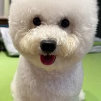 國外代購