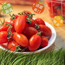 ◎甜度高，內質細膩|◎飽滿多汁酸甜好滋味|◎營養豐富清香爽口品項：玉女小番茄產地：嘉義六腳鄉重量：10盒一箱每盒約600g(外箱以實品為準)保存方法：置於通風陰涼處，若要長時間擺放可貯藏於冰箱下層運送