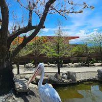10/5宜蘭動植物園-沙丘鐵馬廊道-北關一線天-紅螃蟹
