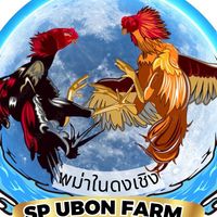 SP UBON FARM
