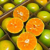 ผลไม้นำเข้า ดิลิเวอรี่ ราคาส่งตั้งแต่ชิ้นแรก!  🍒🍊🍎