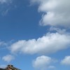 新竹二手物交易社