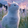 🐾🐾大好きな愛猫ちゃんだけの部屋🐾🐾