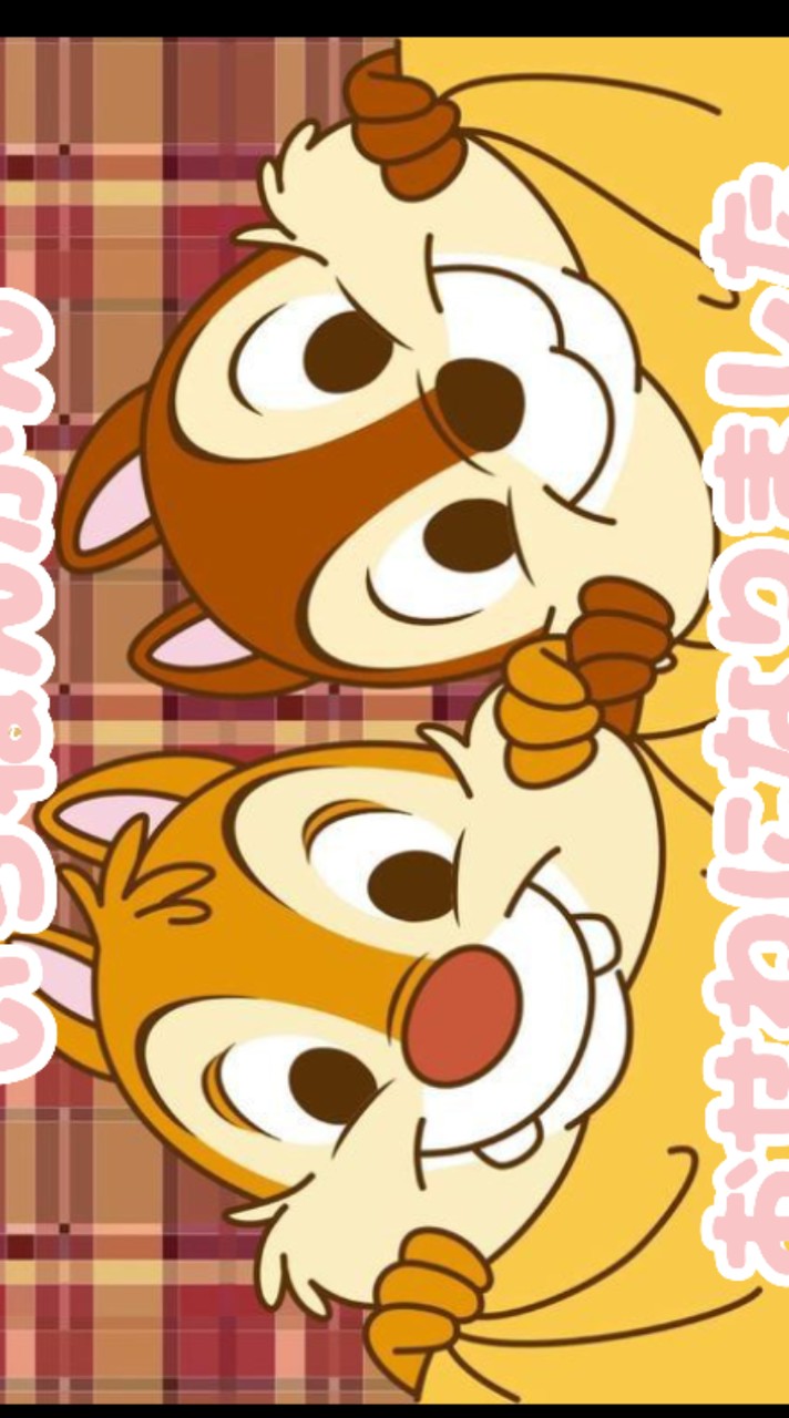 ひまわり東幼稚園🌻　ちゅうりっぷ組　2025