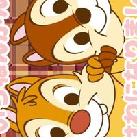 ひまわり東幼稚園🌻　ちゅうりっぷ組　2025