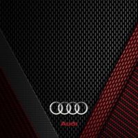 AUDI北群