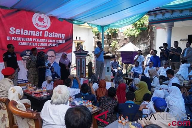 Peternak Ayam Keluhkan Pakan Ternak Impor Kepada Sandiaga