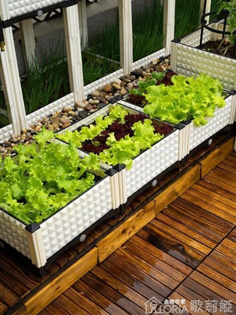 菜園兄弟家庭陽臺蔬菜種植箱種菜神器樓頂種菜花盆長方形屋頂花槽