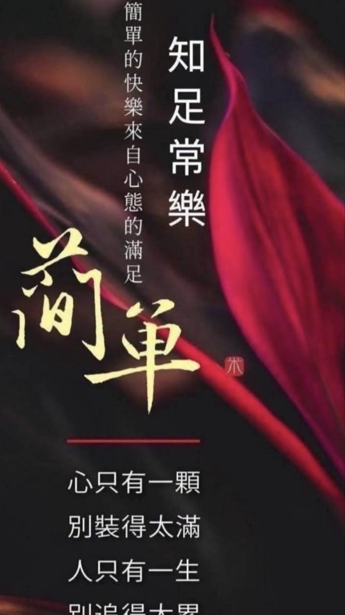 就是愛放鳥飛騎士團