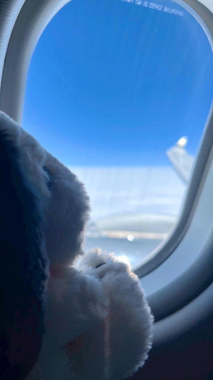 CC旅遊優惠情報站 ✈️