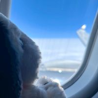 CC旅遊優惠情報站 ✈️