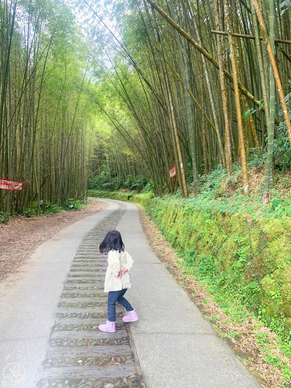 二延平茶霧步道