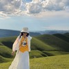 大桃園揪團出發(夢想旅遊) ✈️🚌《國內旅遊、國外促銷、國外包車）