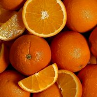 สีแสดไม่ใช่สีส้ม2568 🧡🧡